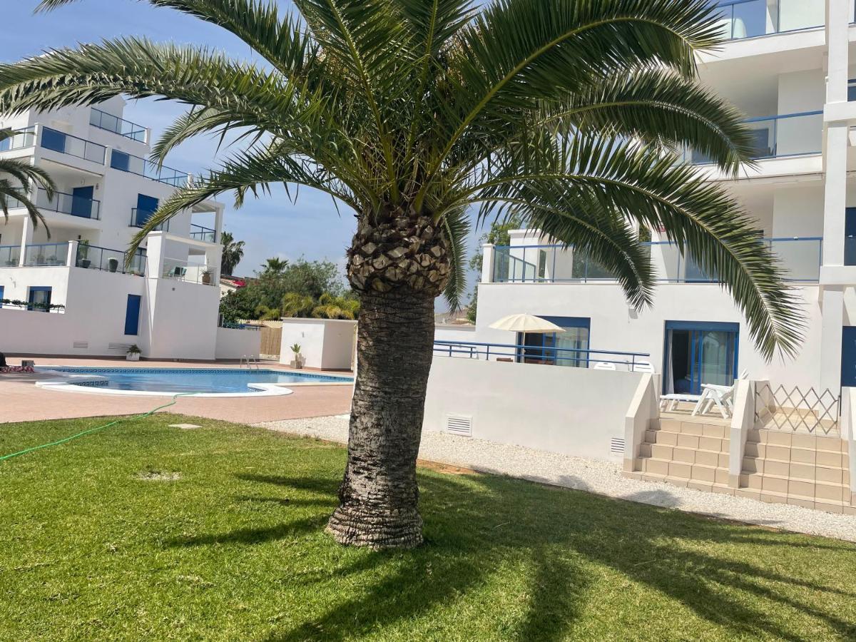 דניה Apartamento 4 Personas, Amplias Terrazas Y 2Oo Mt De La Playa מראה חיצוני תמונה